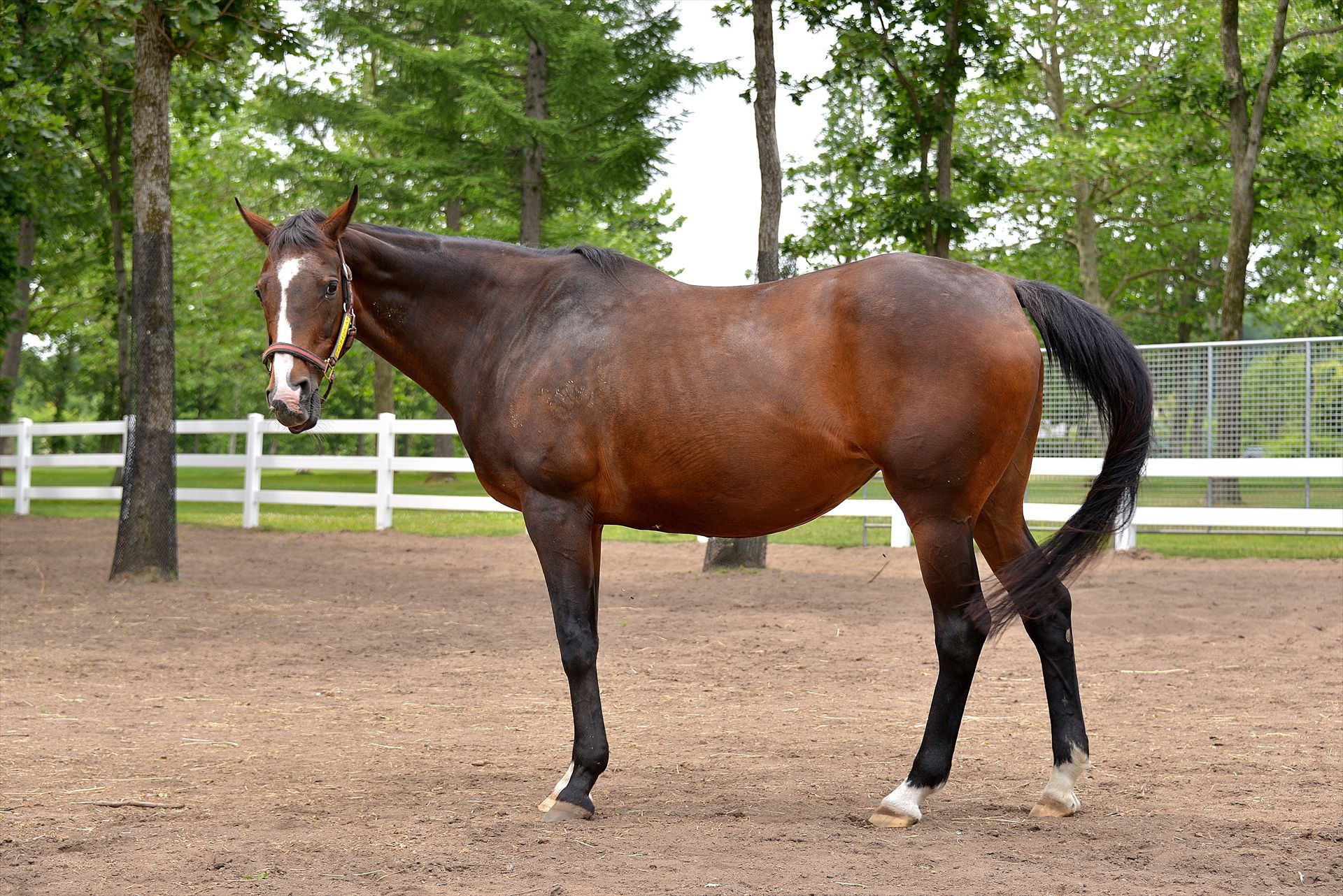 S.A. Photo Gallery ｳｲﾝﾄﾞｲﾝﾊｰﾍｱｰ！